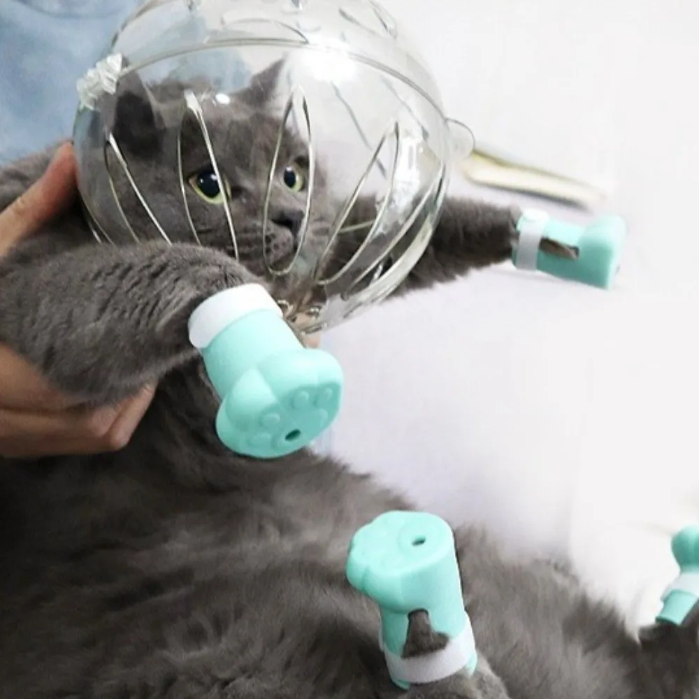 غطاء رأس قطة على شكل كرة يساعد على العناية بالحيوانات الأليفة، غطاء رأس قوي وشفاف للحيوانات الأليفة، غطاء أمان قابل للتنفس ومضاد للعض، قناع تقليم الأظافر #1