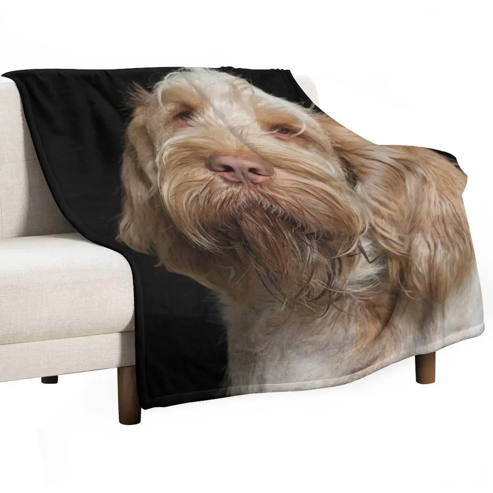 

Head tilt Spinone Throw Blanket Summer Beddings Decoratives Decorative Sofa Hair Blankets