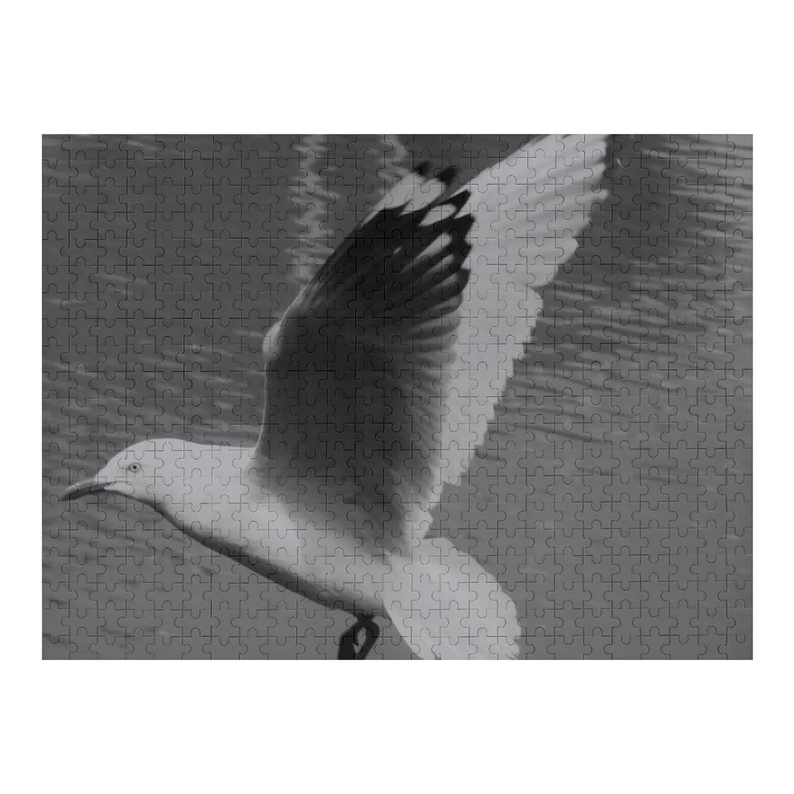 

seagull Jigsaw Puzzle Custom Jigsaw Picture Custom With Photo Puzzle