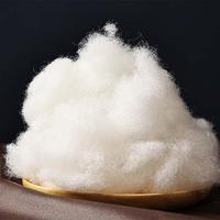50/100g Premium Polyester Fiber Doll Stuffed Toys Polyester Stuffing High Elastic PP-Cotton DIY Handmade Pillow Filling Material