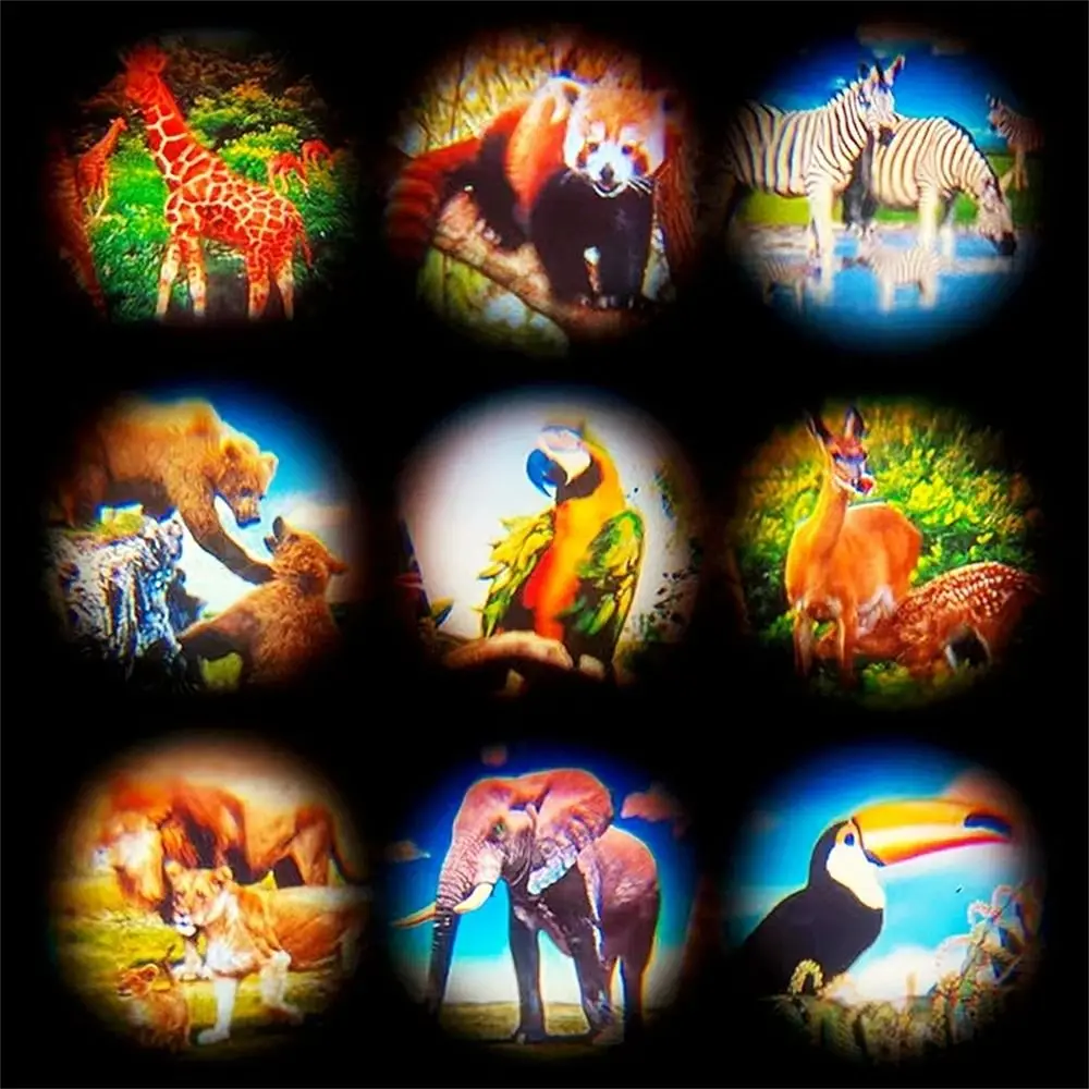 Padrão animal crianças câmera brinquedos educativos escola recompensa câmera de projeção chá de bebê giveaway presentes fotografia