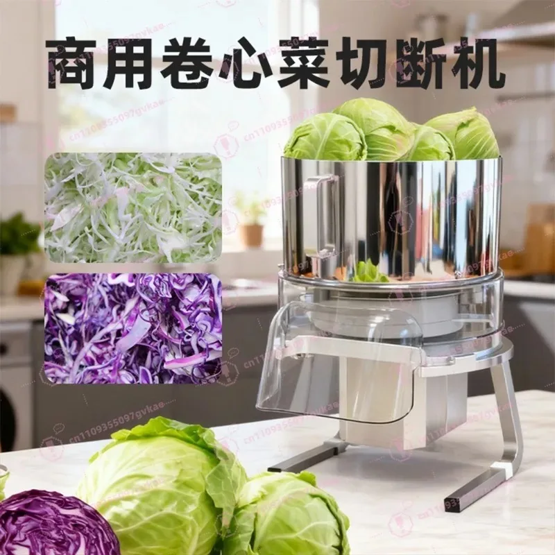 Vegetable Shredder Slicer Cutter, Stainless Steel Wire Grater Carrot Kohlrabi, Handheld Kitchen Tool for Salad Onion Garlic