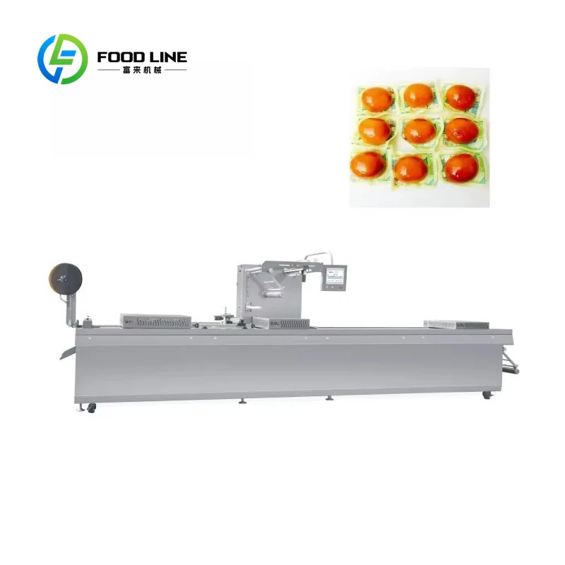 High Productivity Multi-Function Thermoformer Vacuum Packaging Machine for Shrimp Paper Bags Foil Pouches customized 380V