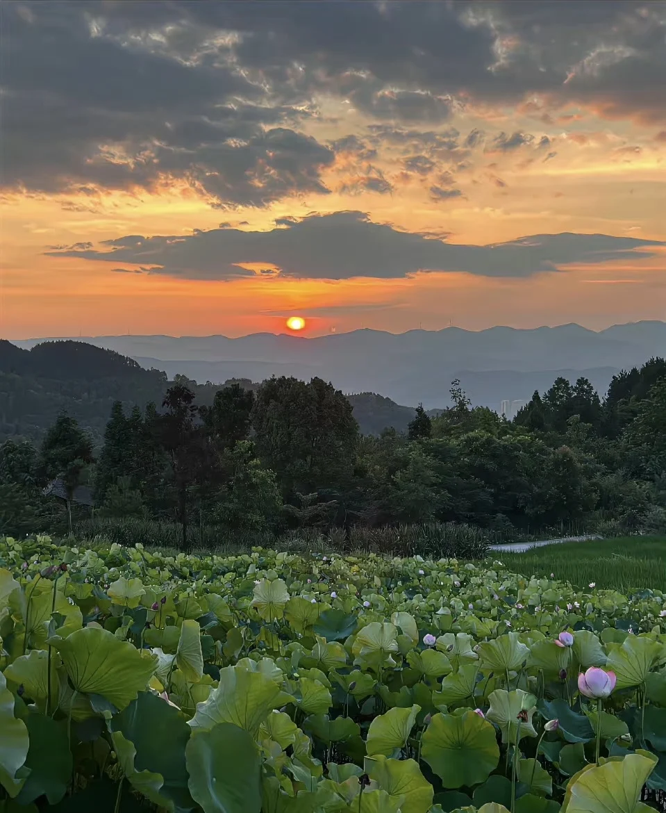 

EMSzero Professional EMSzero 6500W RF Nova HI-EMT+EMS Body Slimming Sculpting Machine Build Muscle Fat Burning EMS Equipment