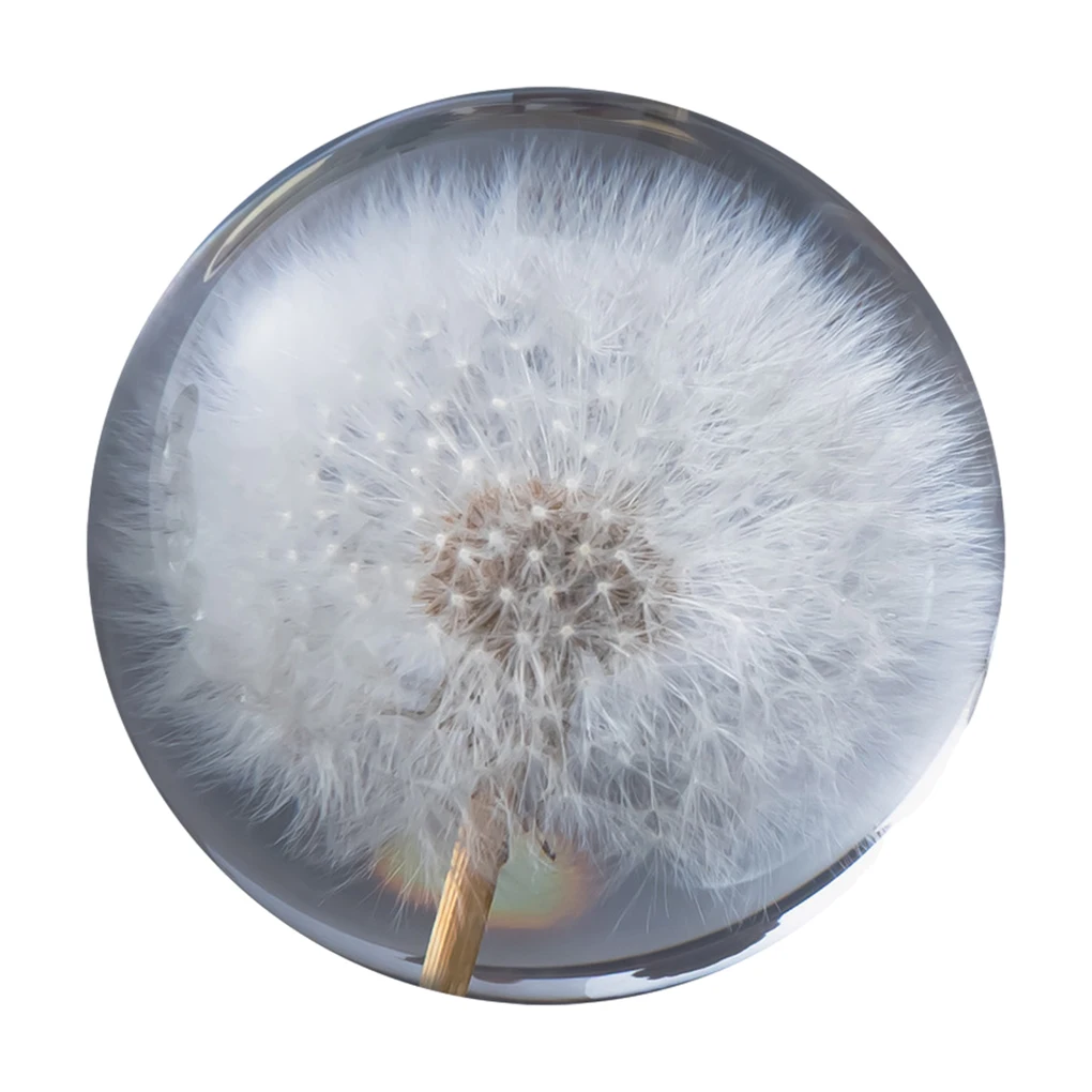 1PC 7/8/9cm Diameter Dandelion Crystal Ball Crystal Glass Resin Lens Ball For Sphere Photography Decoration Home Decorative ball