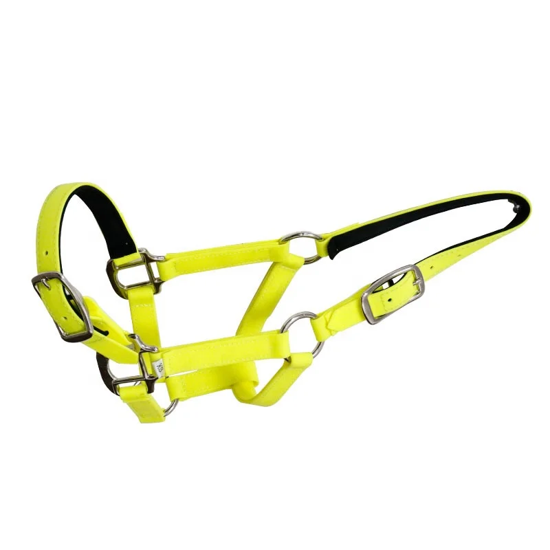 

Professional Horse Ridding Race Neoprene Stainless Steel English Horse Reins