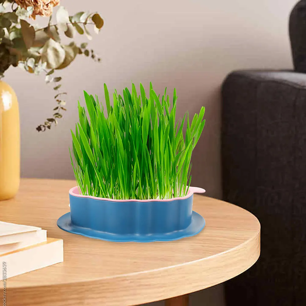 

Creative Cat Grass Plant Box Hydroponic Water Storage Soilless Planter Durable Pet Planting Container Home Garden System