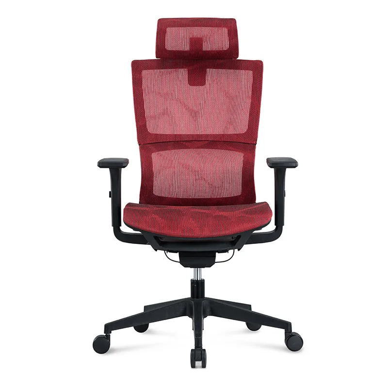 Chaise de Bureau Ergonomique 3D avec Accoudoir Réglable, Support Lombaire 3D et Roues à Lames