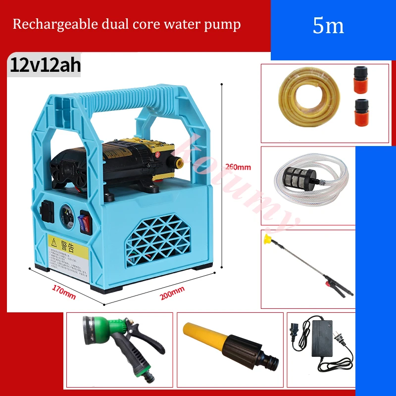 12V Portable Rechargeable Sprayer Water Pump Agricultural Pumped Garden Irrigation Tool Car Wash tool