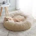 Super Kattenbed Warm Slapen Kattennest Zacht Lang Pluche Beste Hond Bed voor Honden Mand Kussen Kattenbed Kattenmat Dieren Slapen - afbeelding 1