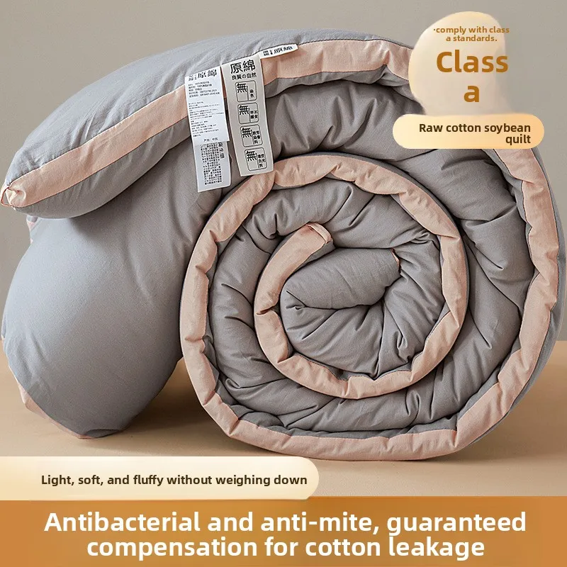 Thick Warm Winter Space Quilt Air Conditioned Single Size All Seasons Winter Quilt Thickened To Keep Warm Winter Thick Quilt