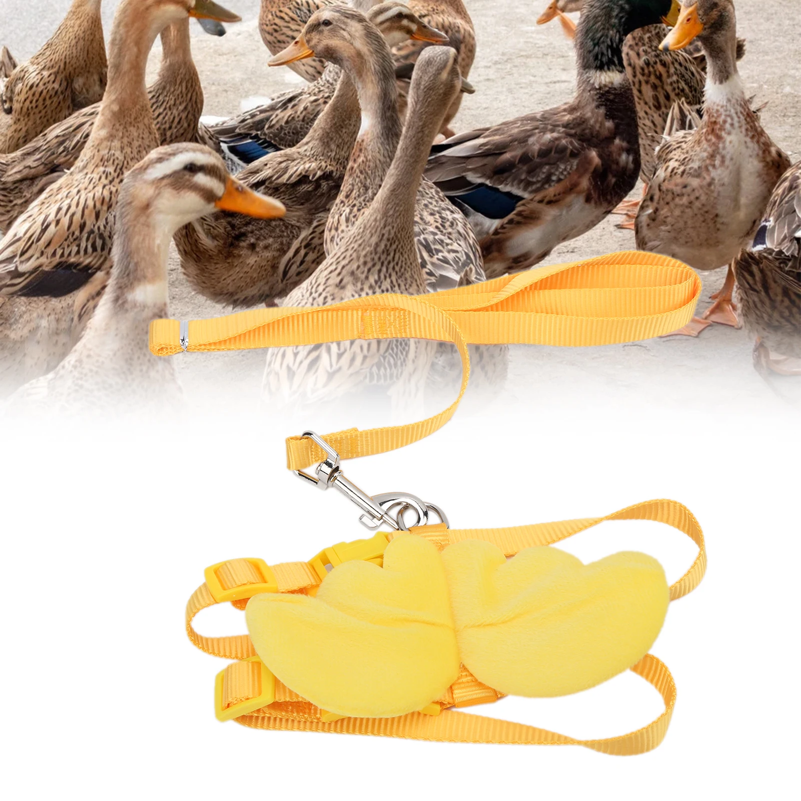 Ducks Traction Rope Adjustable Chest Strap Outside Walking Harness Leash For Pet Duck Chicken Goose