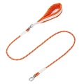 orange leash only