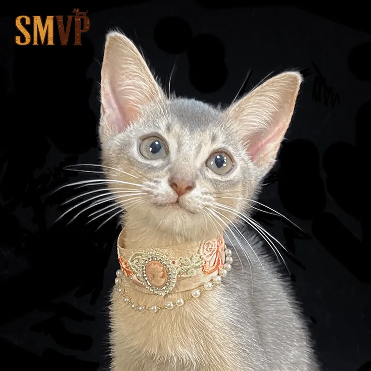 

Original Design Court Style Retro Rose Embroidery Pattern Pet Kitten Puppy Decorative Collar Photography Props for Decoration