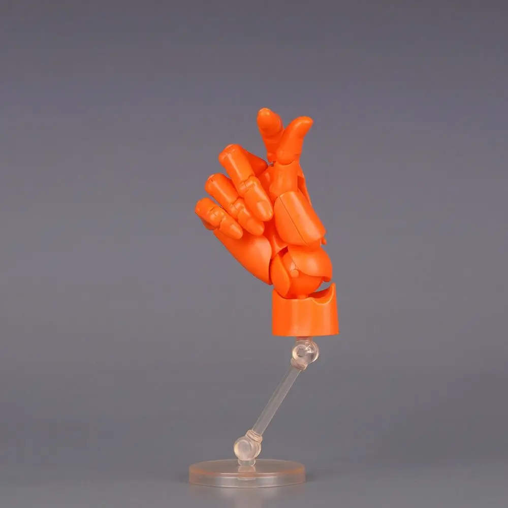 Right Articulated Hand Model Adjustable Flexible Anatomically Accurate Jointed Hand Poseable Hand Finger Joint Figurine