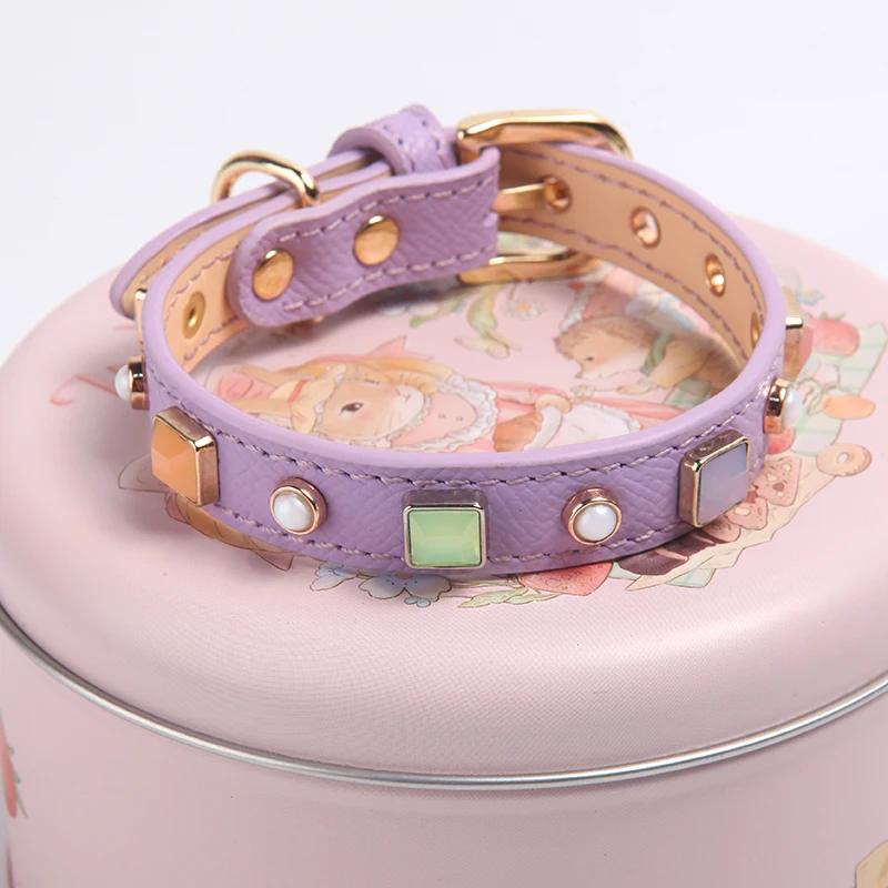 Teddy Cat Neck Collar, Beige Light Blue Buckle, Genuine Pet Collar, Adjustable and Adjusted