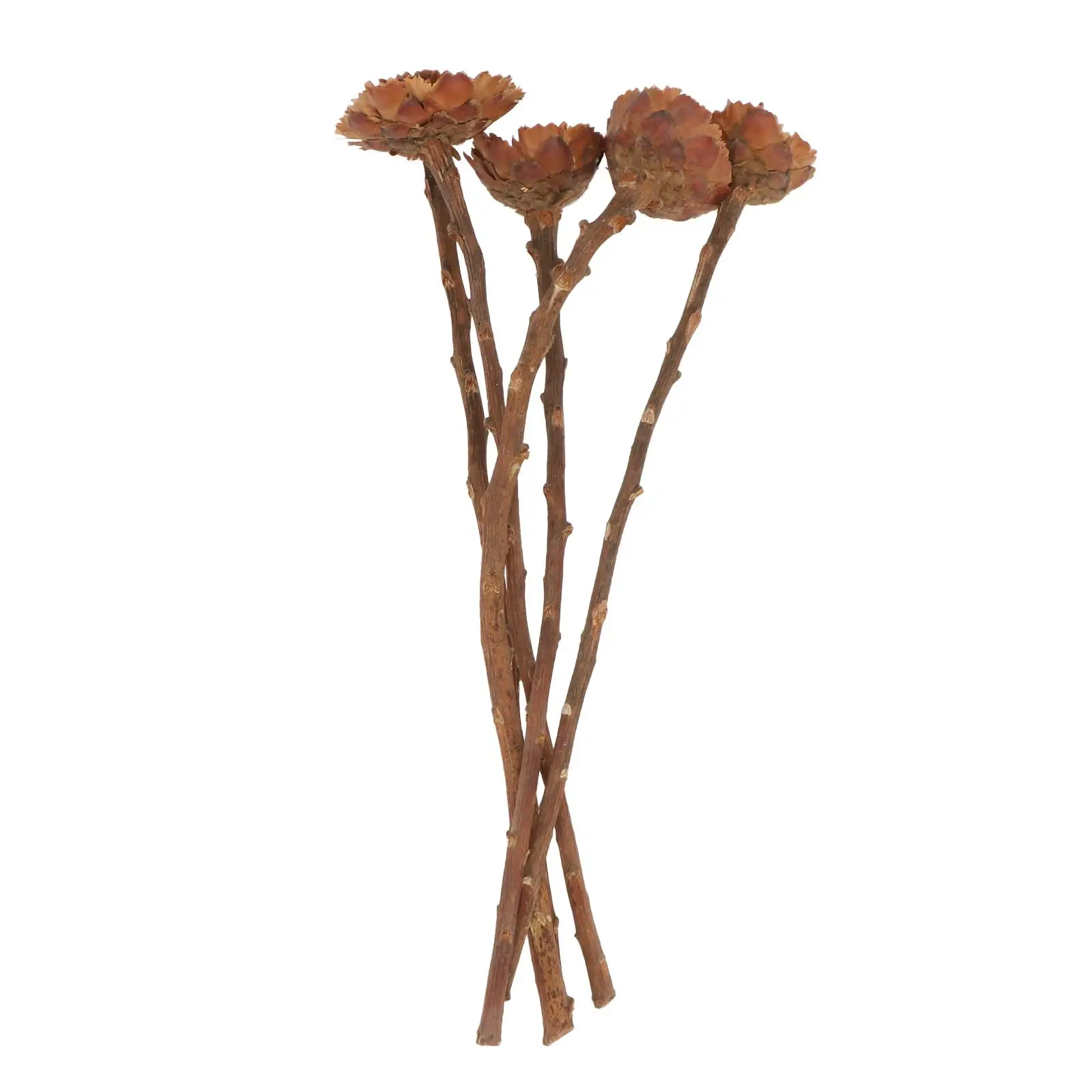 

5 Pcs Dried Flower Bouquet Natural Stems Artificial Decoration Festival Props Bride Plants Nordic Sunflower Elegant Home