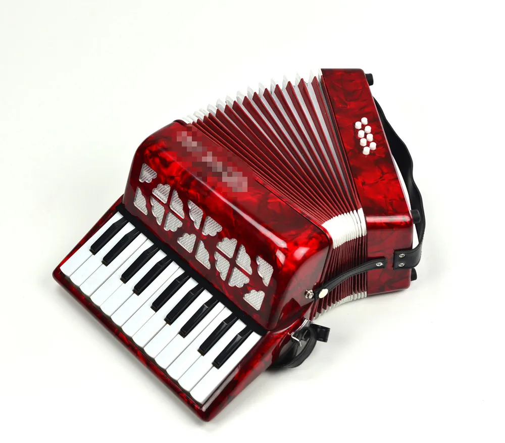 

22 Keys 8 Bass Piano Accordion with Adjustable Straps Bag Musical Instrument for Kids Beginners Keyboard Instruments