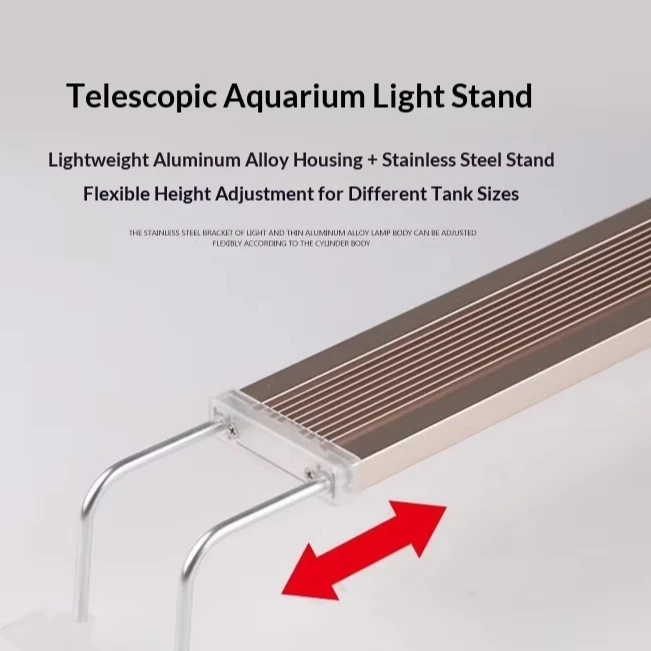 Ecological Paludarium-Ultra-Clear Glass, Mist Humidifier, Dual-Purpose: Plants & Fish, Natural Lively Ambiance, for Offices