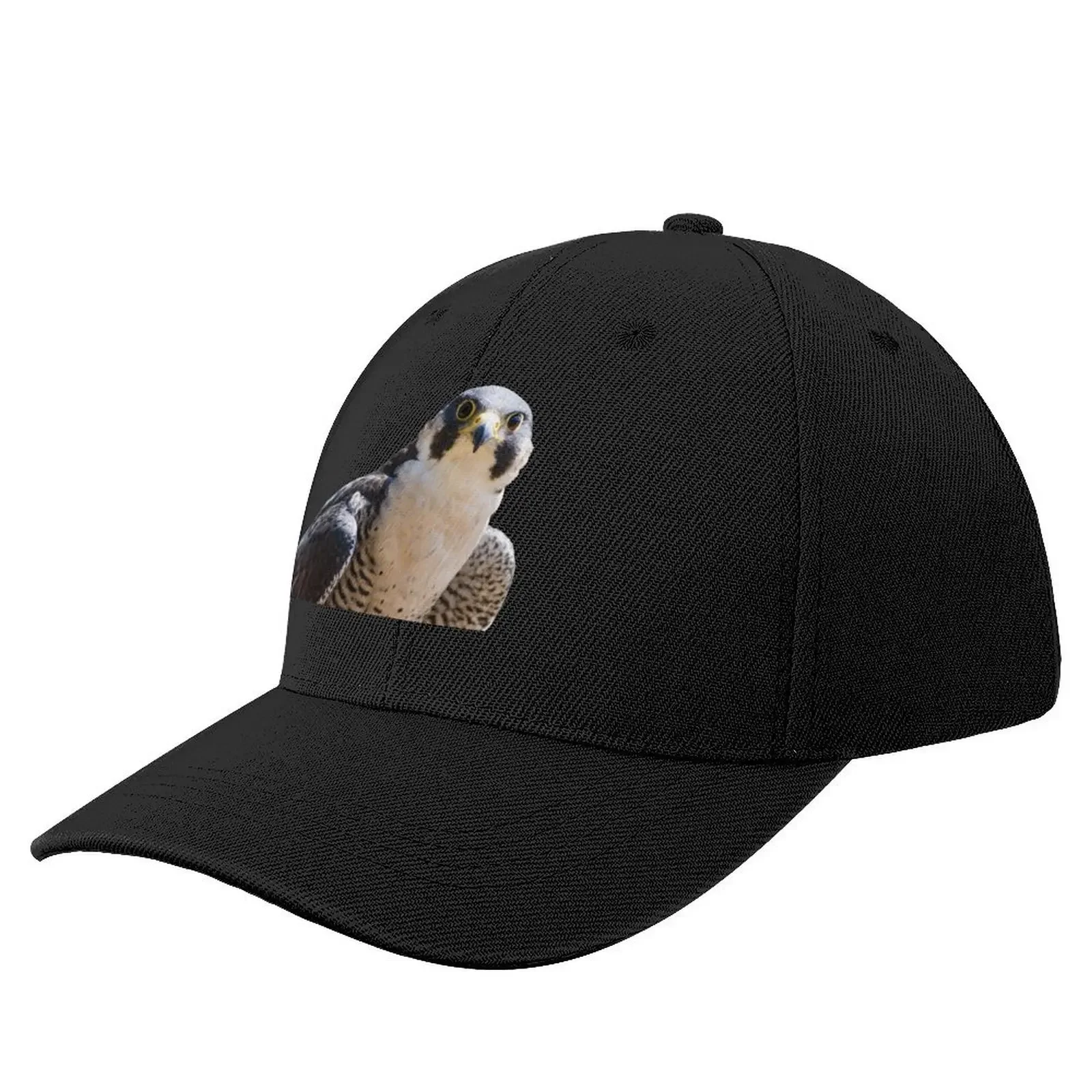 Peregrine falcon Baseball Cap Luxury Hat Christmas Hat Hip Hop Big Size Hat Mens Women's