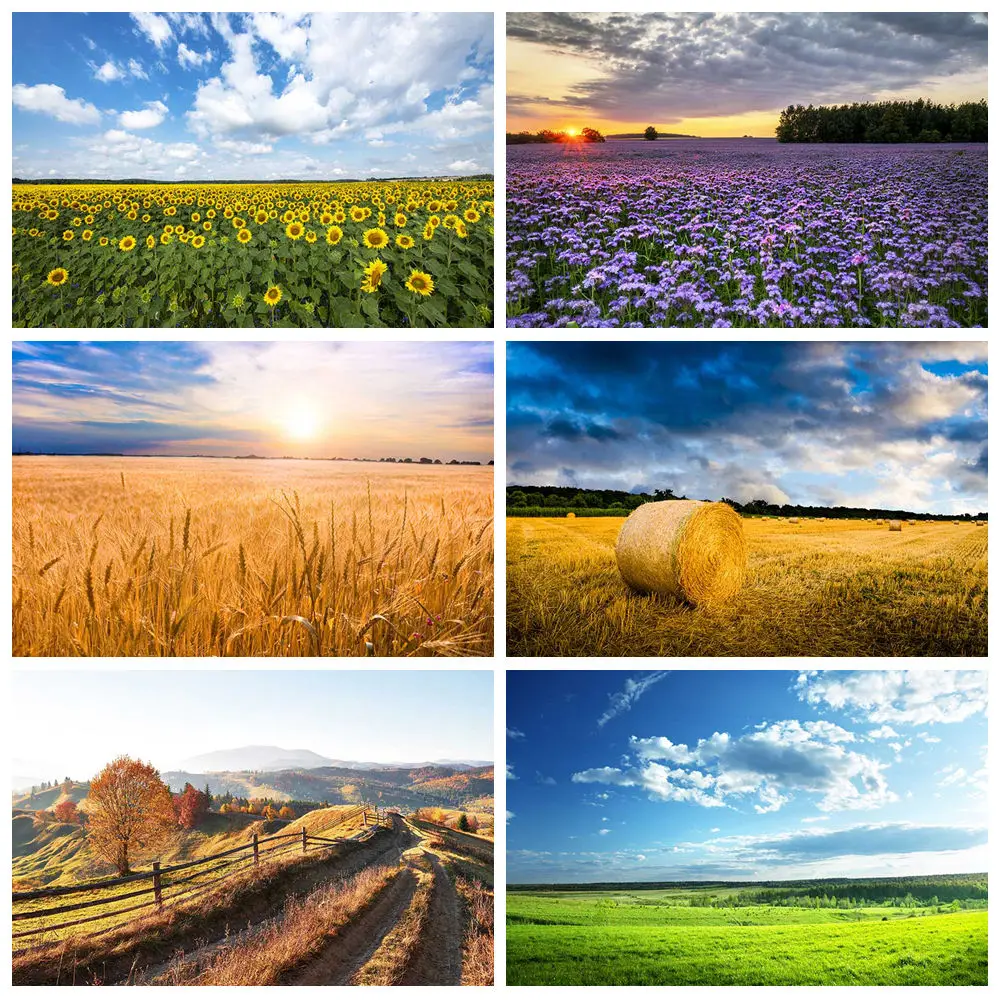 

MOON.QG Spring Natural Farm Field Hay Blue Sky Sun Green Grass Flower Photography Backdrop Home Decorations Photo Background