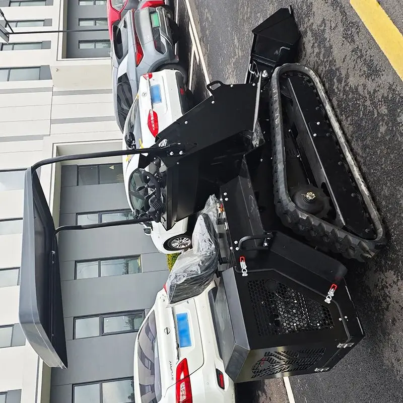 Entrega rápida personalizada amplamente utilizada mini carregadeira de direção internacional sobre esteiras de jardim Epa