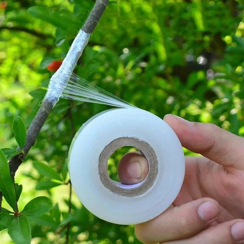 

2PCS PE Grafting Tape Film Self-adhesive Garden Fruit Tree Winding Stretchable Film For Plant Nursery Grafting Accessories 3/4CM