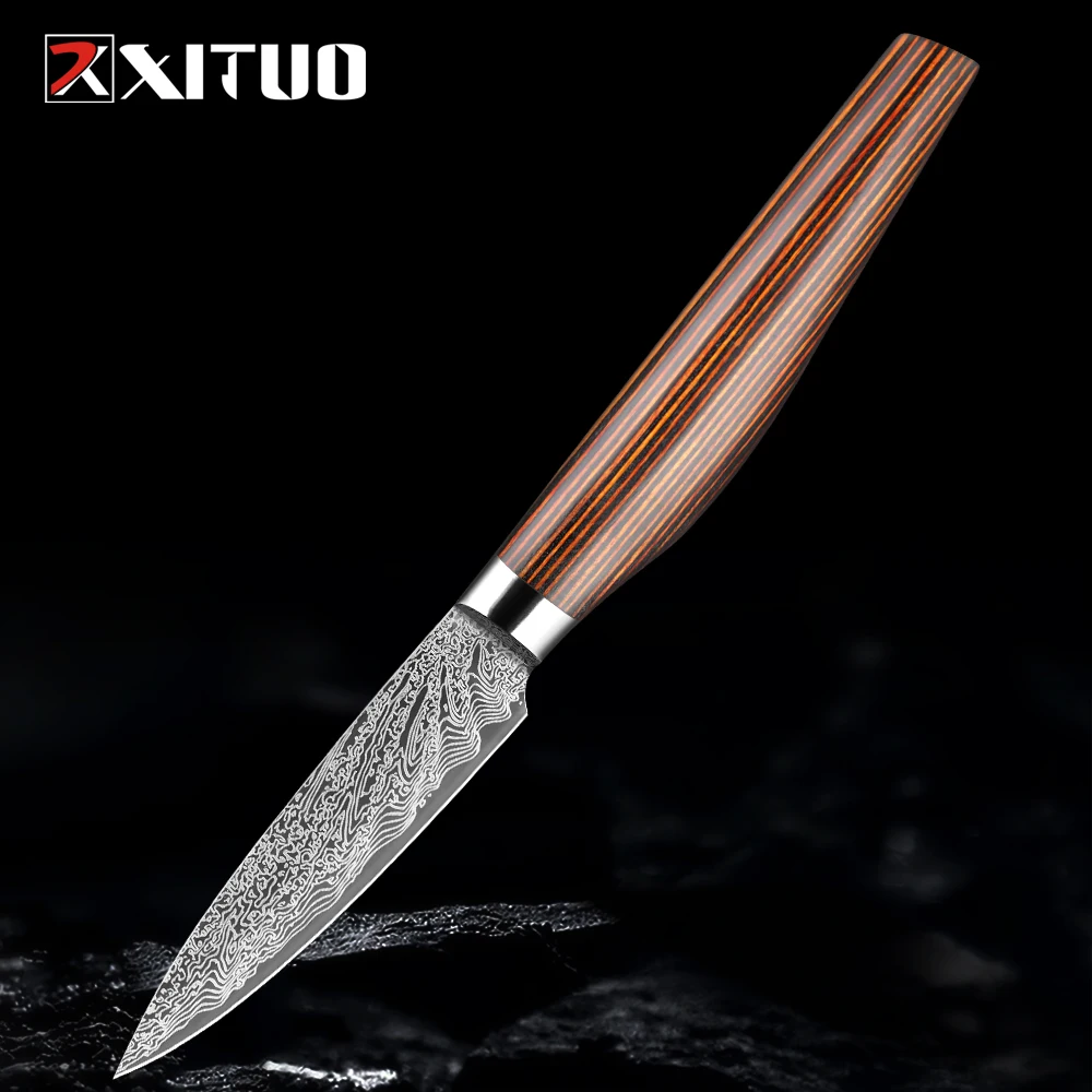 

Professional Kitchen Fruit Knife 3.5 Inch High-Quality Paring Knife Stainless Steel Damascus Laser Pattern Sharp Utility Knife
