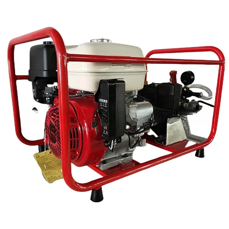 Three-cylinder plunger portable backpack diaphragm pump