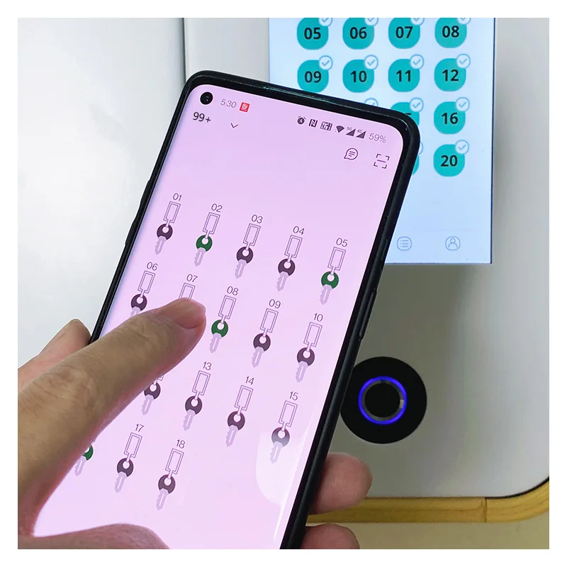 Odcisk palca 99Plus inteligentne pudełko klucz RFID bezpieczne inteligentny klucz do przechowywania w szafce