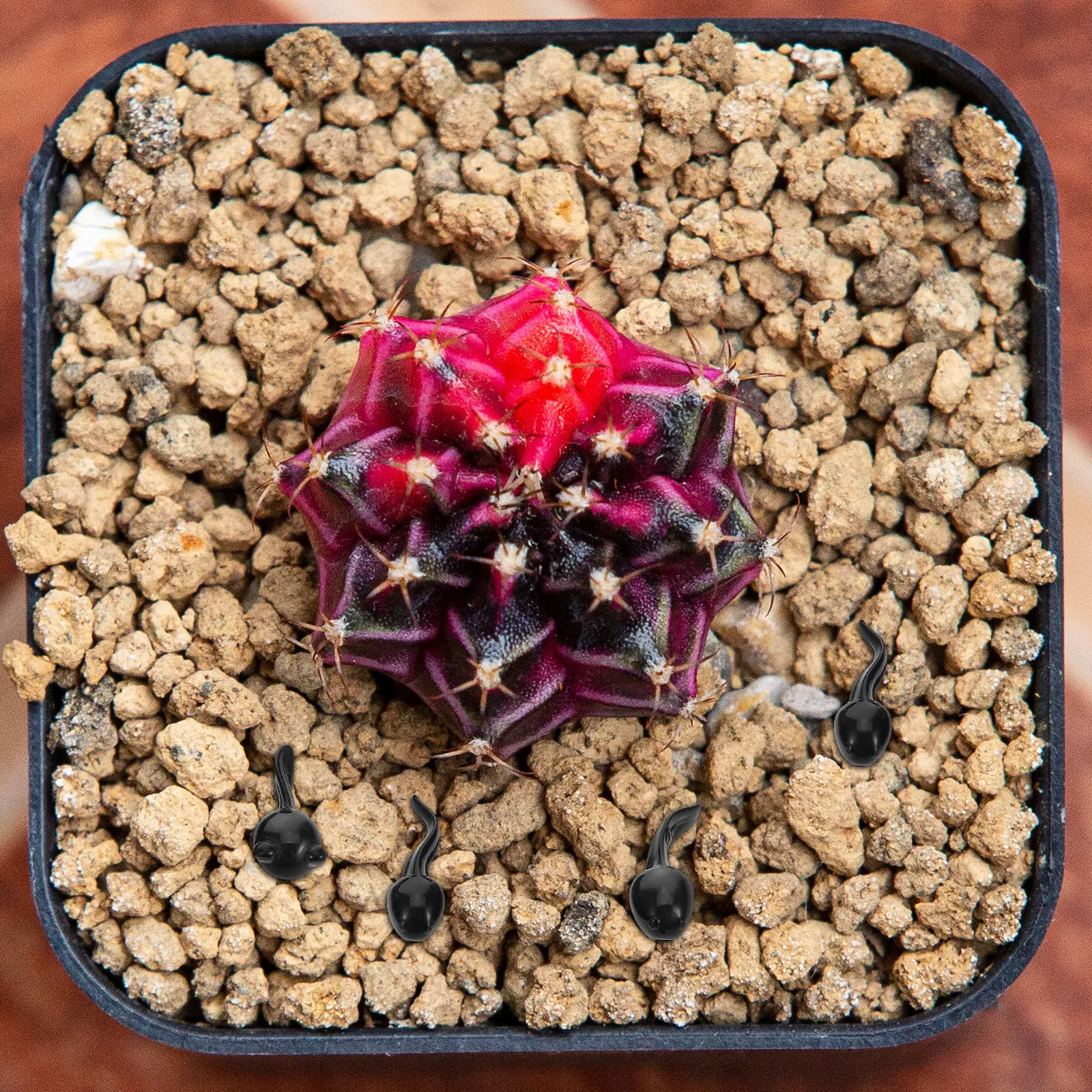 39Pcs Realistic Mini Resin Micro Landscape Decorations for DIY Bonsai Fairy Garden Aquarium Small Animal Sculptures