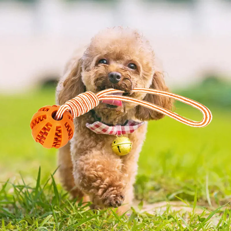 Jouet de balle coule avec ULpour chiens, jouets à mâcher pour petits et grands chiens, entraînement pour chiots, accessoires pour animaux de