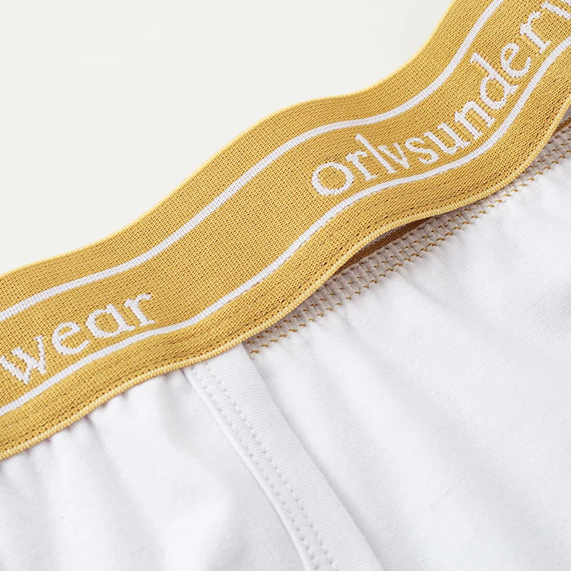 Men's Thongs for Men New Summer Hot Man Underpants Fashion Men's Ultra-thin Panties Sexy Adult Man Thong Underwear G-string Mens