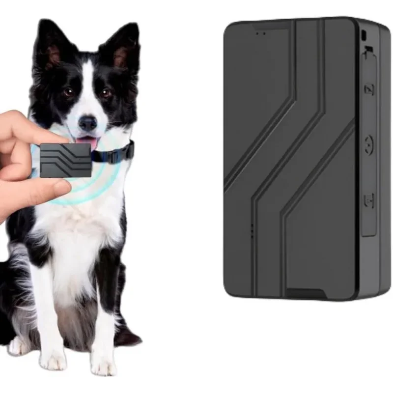 Gps Pet Tracker, 4G… - image