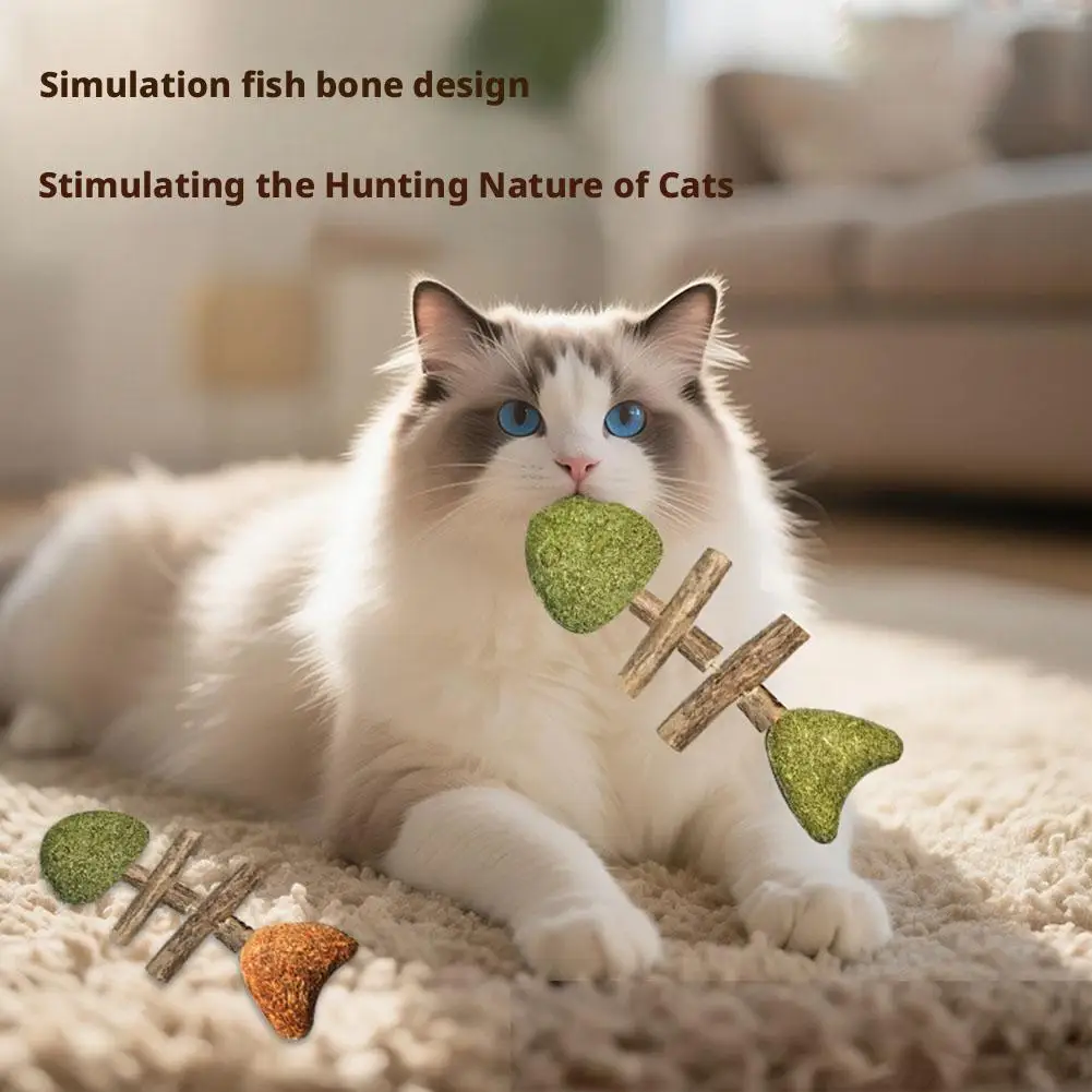 ألعاب مضغ القطط التفاعلية ألعاب الأسماك المشوية المولي سيلفرفين لعبة دعابة القط نظيفة الفم هريرة اللعب لعبة مستلزمات الحيوانات الأليفة الملحقات