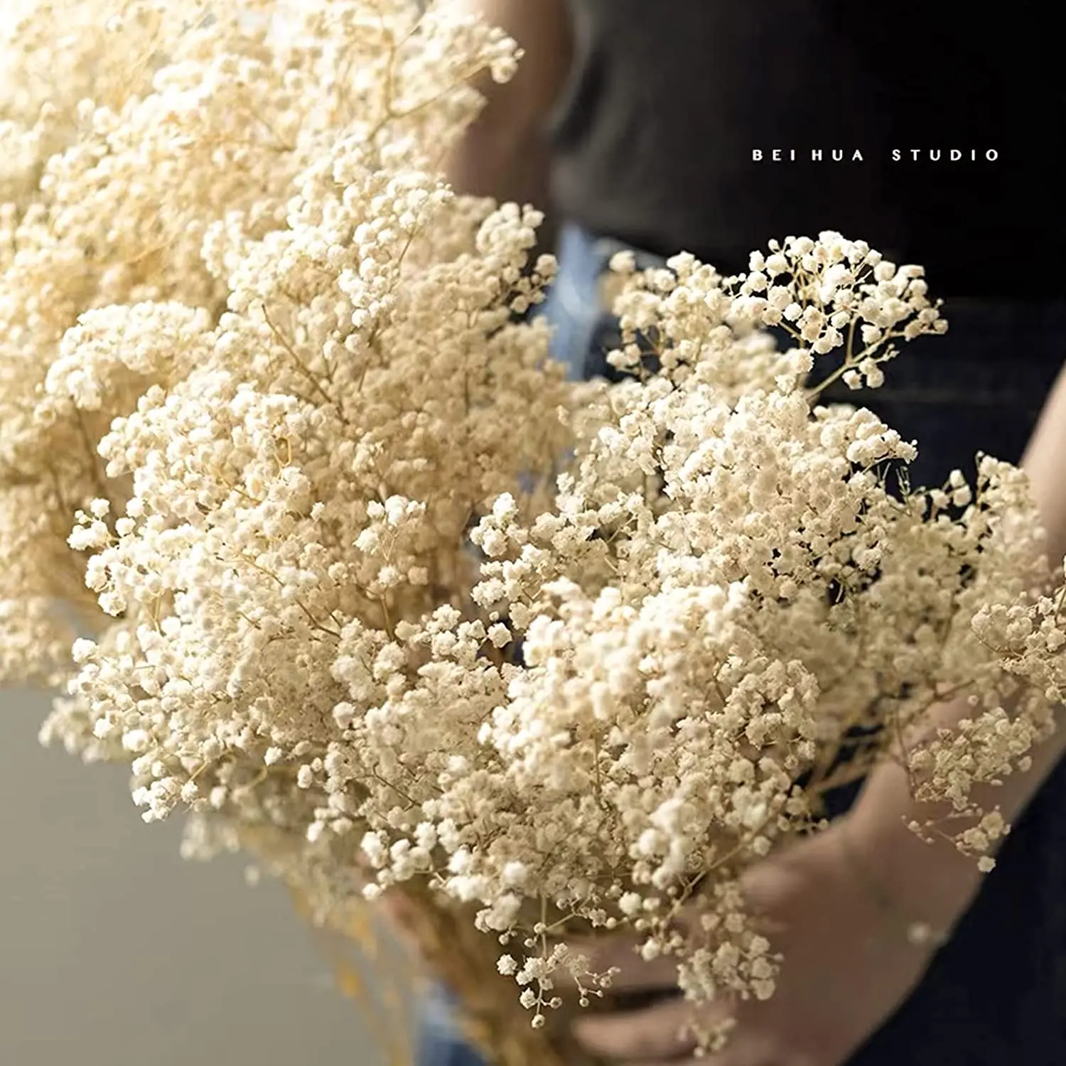 Dried Flowers Babys Breath Bouquet Ivory White Flowers Natural Gypsophila Branches for Home Decor Wedding Table Decor Floral