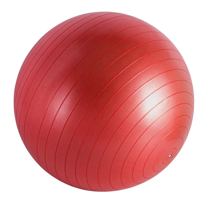 

YTYIN TOPKO 65CM Anti Burst Matte Surface Fitness Gym Yoga Ball With Air Pump