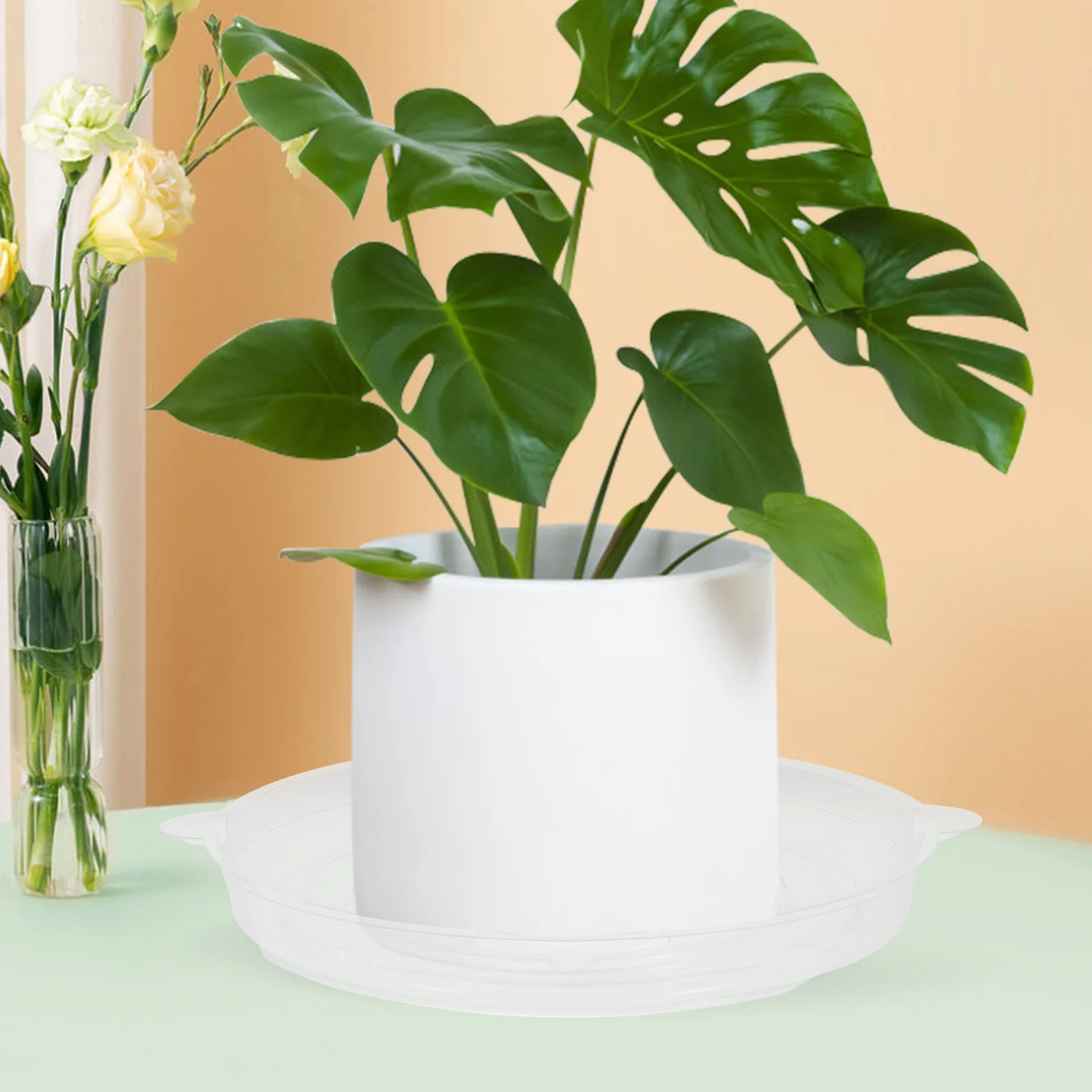 

10Pcs Flower Pot Base PVC Plant Trays for Pots 6 Inch Transparent Drip Saucers Drainage Water Tray