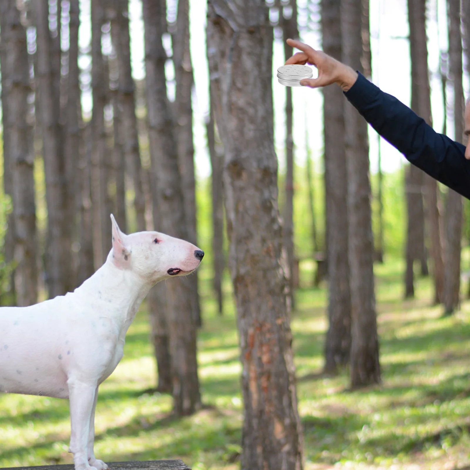 

Dog Scent Training Kit 10Pcs Metal Tins with Lids Odor Detection Canine Training Tools Sniffle Containers Training Boxes Case