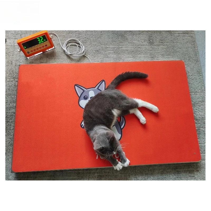 ZY-S1 Stainless Steel Multi-Animal Weight Scale for Pet Hospitals Veterinary Instrument Animal Supplies and Commercial Equipment