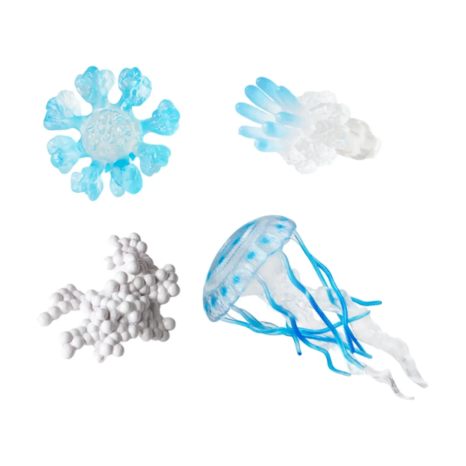 Kit giocattolo per adulti con polipo di uova di meduse Figure giocattolo di biologia Montessori per l'apprendimento cognitivo della prima infanzia