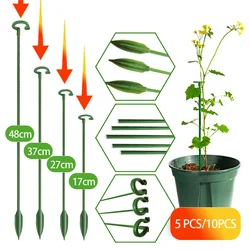 17/27/37/48cm Plant Support Stakes Garden Single Stem Flower Phalaenopsis Orchid Dedicated Support Stakes Reusable Flower Stand