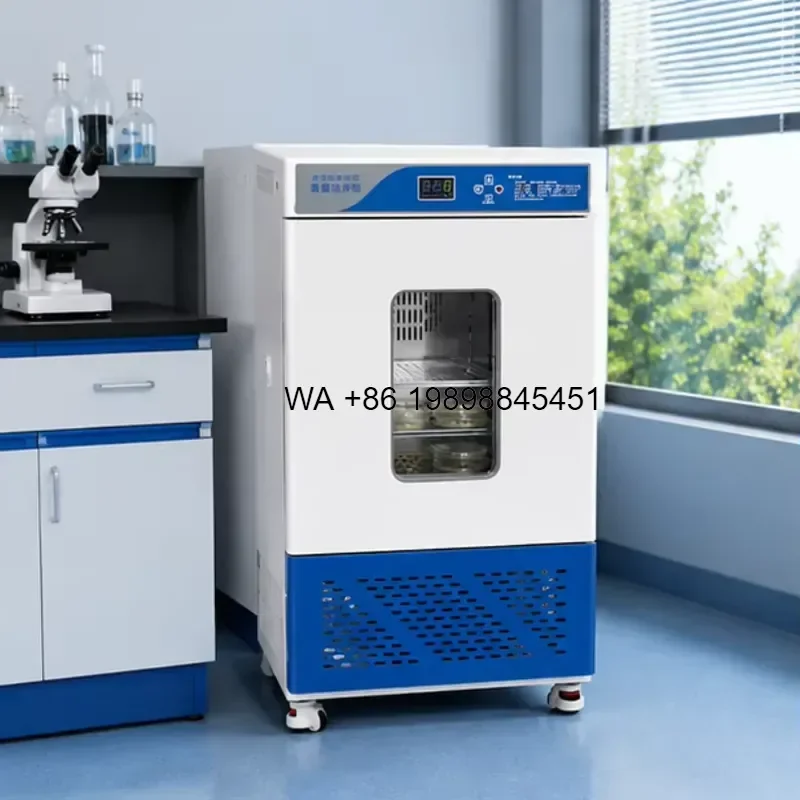 Wmwmnu for Mold Incubator Constant Temperature 0-60C LCD Display Stainless Steel 1C Uniformity PT100 Sensor