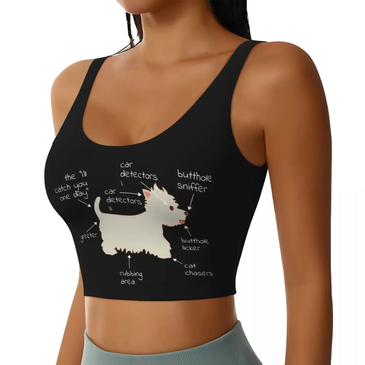 Custom Women's Westie Dog Anatomy Sports Bras West Highland White Terrier High Impact Gym Workout Yoga Crop Tank Tops