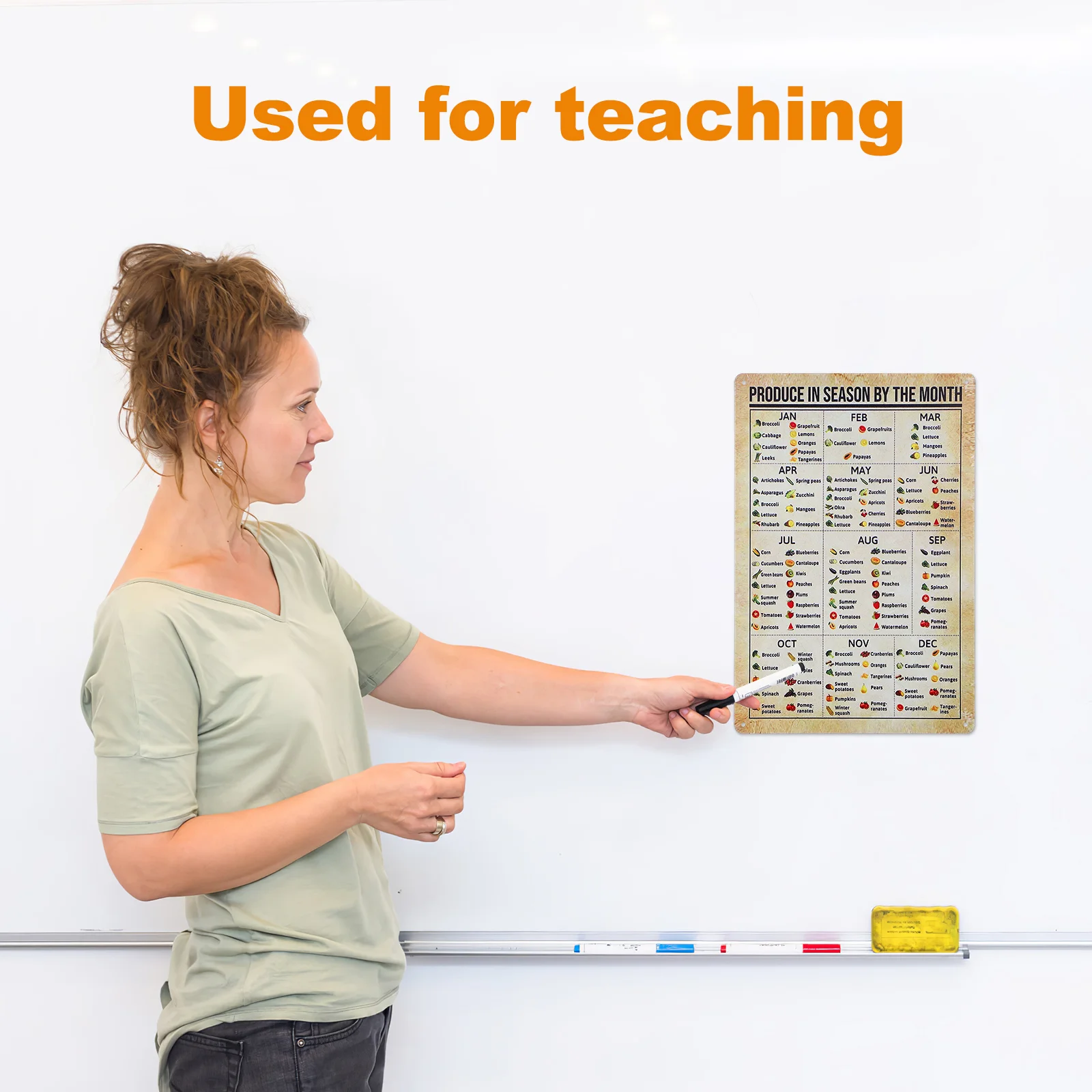 Vintage Plant Infographic Vegetable Fruit Sign Poster Posters Chart Metal for Kitchen