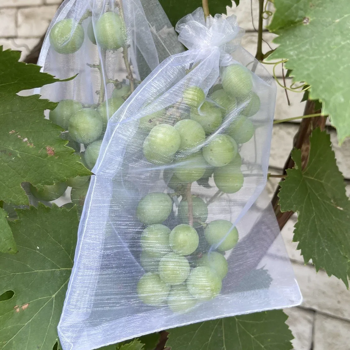 500PCS Fruit Protective Mesh Bags Grapes Strawberries Bird and Pest Control Mesh Bags Planting Bags Seed Bags