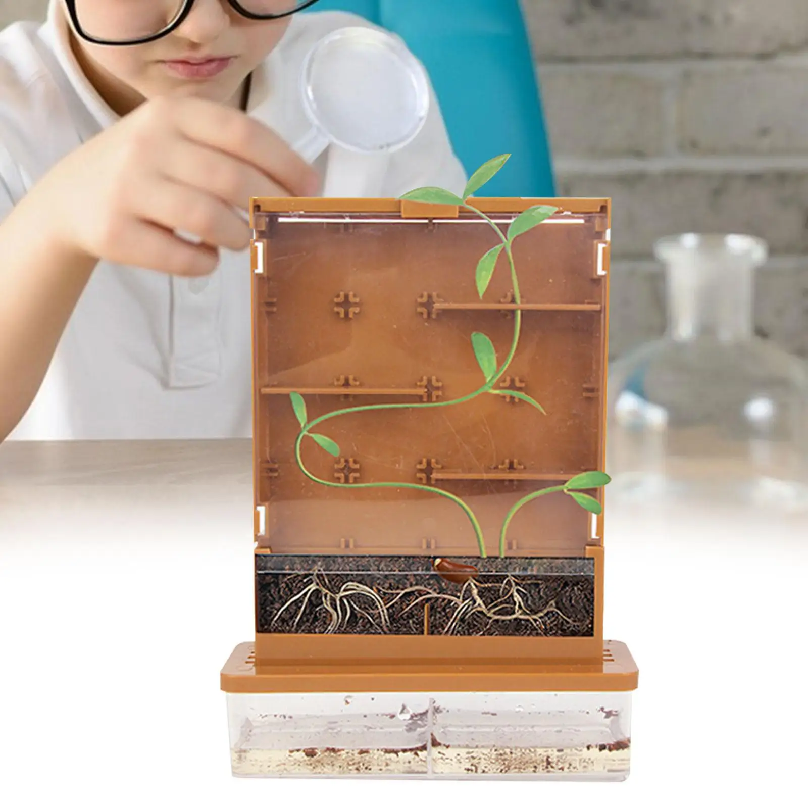 

Наборы для выращивания растений в теплице Plant Maze: развивающие STEM-игрушки для дошкольников, подарок для детей, занимающихся садоводством, для домашнего обучения