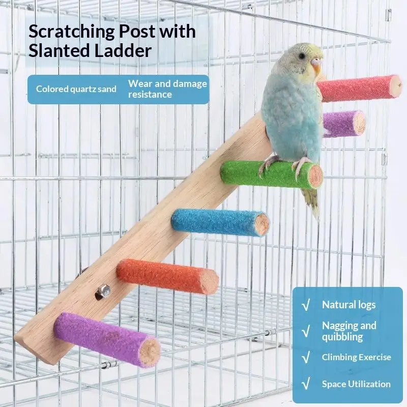 Thumbnail 2 - #34 Best Bird Ladders & Perches to Buy In 2026