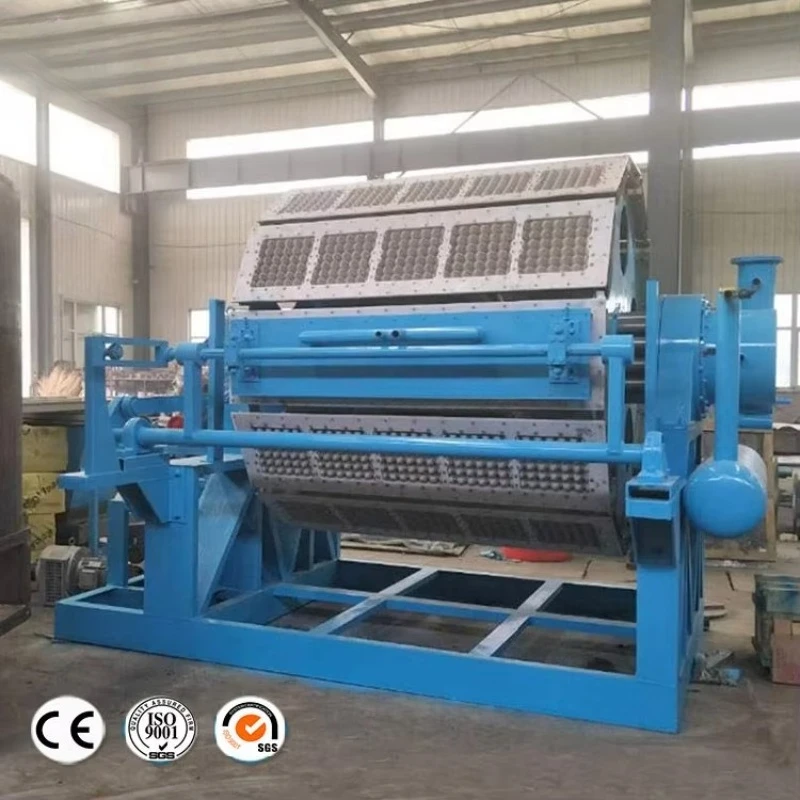 PLC Touch Screen Rotary Egg Tray Forming Machine Gearbox Motor Powered Pulp Molding Equipment For Fruit Egg Box Making Custom