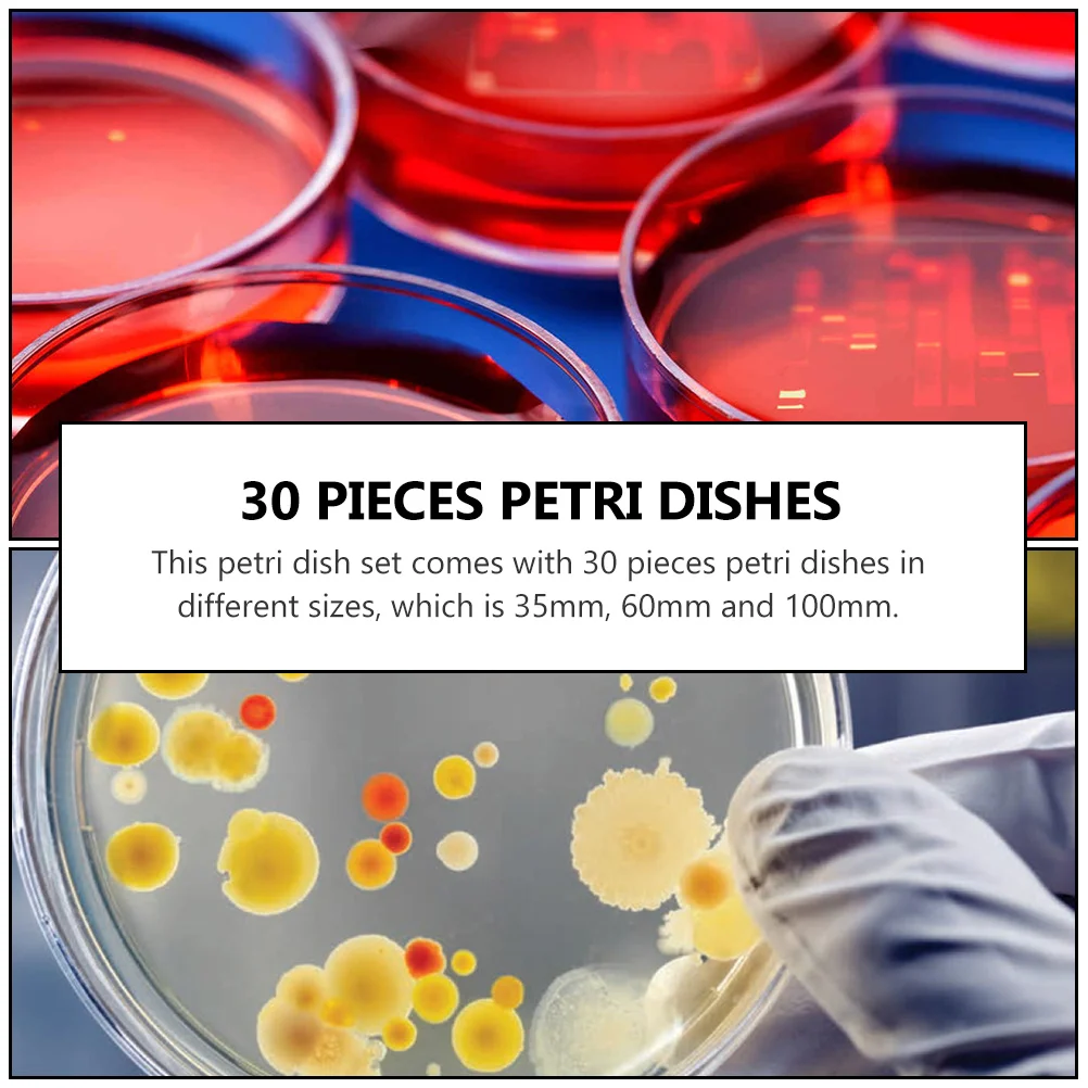 

30 Pcs Petri Dish Set Culture Plates Dishes Science Lab Laboratory High Quality